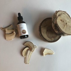 BIRCH POLYPORE MUSHROOM – TINCTURE