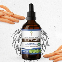 Secrets Of The Tribe Shatavari Tincture Alcohol-FREE