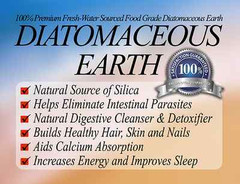 300 Diatomaceous Earth & Activated Charcoal Capsules 1000 mg – 60 Caps X 5 Pack