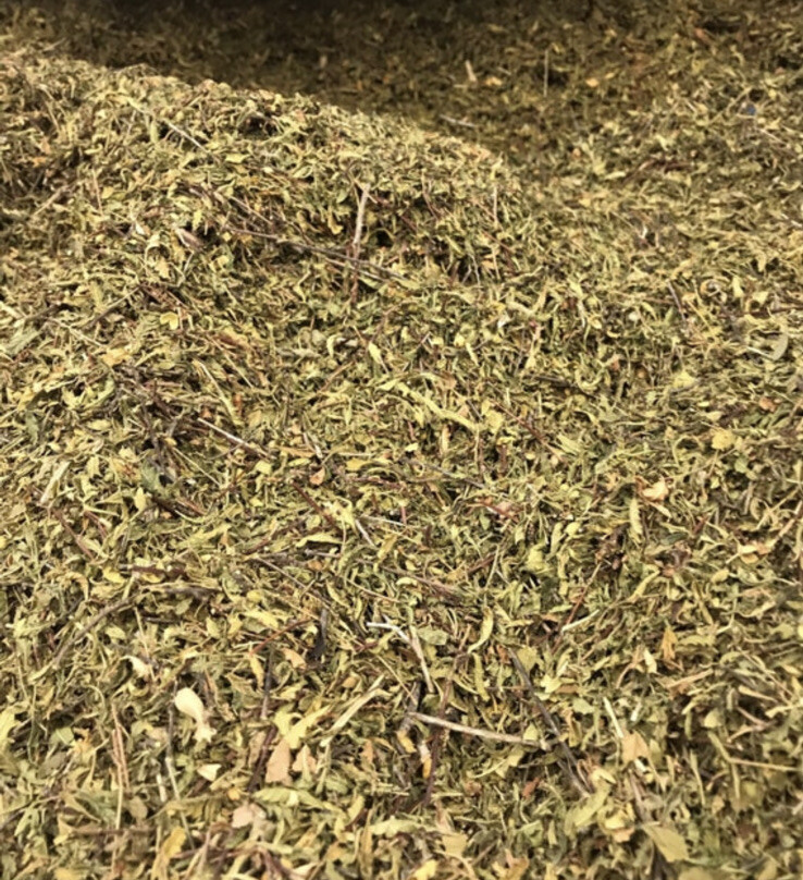 Damiana California 4oz