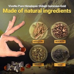 VivoNu Himalayan Shilajit Gummies 3000mg, Ashwagandha, Fulvic Acid, 60 Count