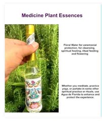 2 AGUA DE FLORIDA FLORAL WATER RITUAL PROTECTION AUTHENTIC PERU 270ml AU SELLER