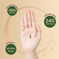 2 Pack Olive Leaf Extract 750mg Per Serving Maximum Strength 20% Oleuropein