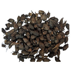 Cyperus Rotundus 25g–250g | نبات السعد | Natural Nut Grass Herb – Ayurvedic Herb