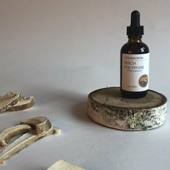 BIRCH POLYPORE MUSHROOM – TINCTURE
