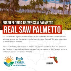 Pharmaceutical Grade Saw Palmetto & Pumpkin Seed Oil – 60 Softgels, DHT Blocker