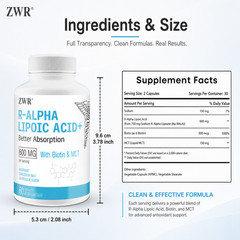 R-Type Alpha Lipoic Acid Capsules – 600 mg with Biotin; Supports Cellular Health