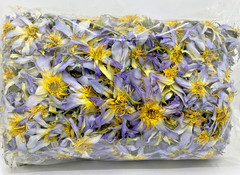 Blue Lotus Flower Nymphaea Caerulea Pure Dried Whole Flower Organic 1 oz to 1 kg