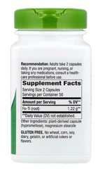 Natural Fo-Ti Root Capsules – 100 Vegan Capsules | 610 mg