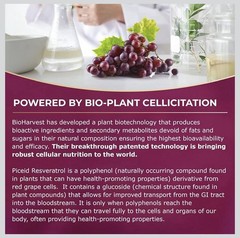 2x VINIA Piceid Resveratrol Red Grape Blood Pressure/Flow Heart Care Antioxidant