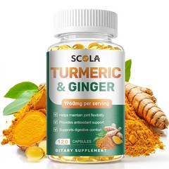 TURMERIC 95% CURCUMIN 120 CAPSULES EXTRACT TUMERIC BLACK PEPPER ANTIOXIDANT BEST