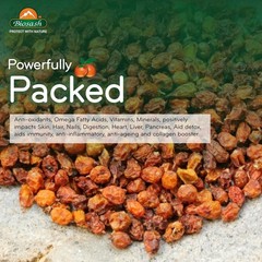 Biosash Sea Buckthorn Dry Berries 100g Herbal Sun Dried Himalayan Berries