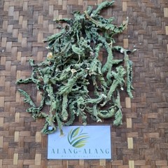 Tapak Liman (Elephantopus scaber) Elephant’s Foot Dried Leaves