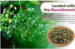 Moringa Leaves Tcut 8 oz (3 pack) |Superfood, Antioxidant, Immunity, Natural Tea
