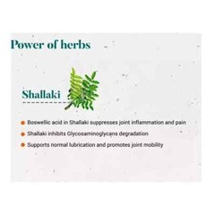 🌿 Himalaya Shallaki – 60 Tablets Each | Pack of 3 | Expiry 03-2027