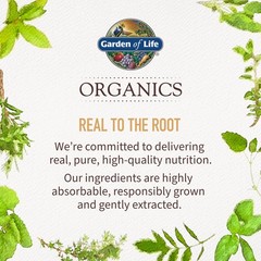 Garden of Life Organics Oil Oregano Seasonal Drops 1fl 1 Fl Oz (Pack 1)