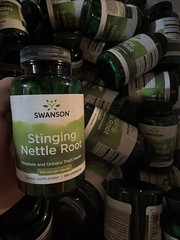 Swanson Stinging Nettle Root Capsules, 500 mg, 100 Count, exp 05/2026 LOT OF 25
