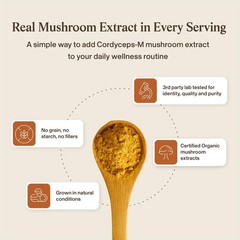 Organic Cordyceps Mushroom Extract Capsules – 300 Count – Energy & Stamina Suppo