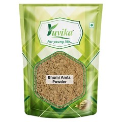 Bhumi Amla Powder Bhoomi Awla Phyllanthus Niruri Fillanto Niruhi Herbs