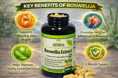 BOSWELLIA EXTRACT 65% BOSWELLIC ACIDS 250 CAPSULES HERBAL SECRETS SUPPLEMENT