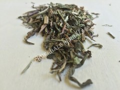 Dandelion Leaf, Taraxacum officinale, All Natural ~ Schmerbals Herbals