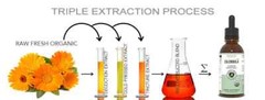 Turmeric Complex: Inflammation Support – Made from Raw-Fresh-Organic Herbs