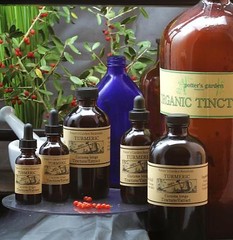 TURMERIC Tincture Anti-inflammatory Migraine Pain Relief Folk Remedy TUMERIC TCM