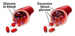 cholesterol reduction complex – ORGANIC YEAST RICE – be hearty 2 BOTTL