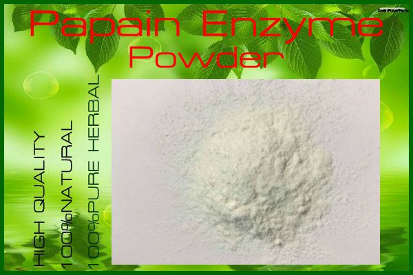 500 g rams High Quality Papain Enzyme Powder (Carica papaya) @@@****