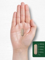 Amla Capsules | 1500mg | 120 Count | Amalaki Fruit | Non-GMO | by Carlyle