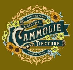 Chamomile Extract Chamomile Tincture Relax Insomnia Sleep Aid Herbal USA