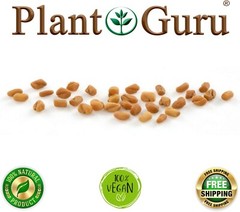 Fenugreek Seeds 5 lbs. Bulk Non-GMO Trigonella Foenum Graecum Whole Methi Seed