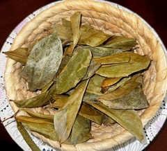 Graviola Soursop Dried leaves 15 OZ from Jamaica 100% naturally harvested