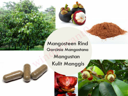120 CAPSULES MANGOSTEEN Garcinia Mangostana Mangustan Organic Wild Crafted Herbs
