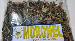 4oz Moronel organic moronel tea ramas de moronel