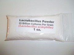 1 oz. Lactobacillus Acidophilus Probiotic Powder 15 Billion Cultures Per Gram