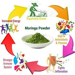 MOGO™ USDA Organic Moringa Leaf Powder,Size 4oz-10LB Detox,Weight Loss,SUPERFOOD