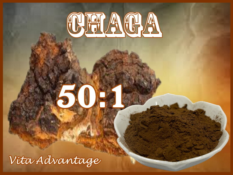Certified Organic CHAGA Mushroom 50:1 High Potency dual extract powder 1LB