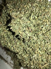 Damiana & Catnip WHOLESALE BULK Herbal Leaf Natural Blend Mix Tea – 5 lb Pounds