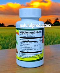 (2) Guanabana Soursop Moringa Curcuma Turmeric 180 Capsules by Plantimex