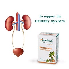 Himalaya Herbal Punarnava – Pack of 3 (60 Tablets Each) |