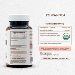 Secrets Of The Tribe Hydrangea Capsules, 500 mg