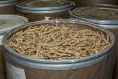 8oz/Bag American Barrel Ginseng Root正宗美国威州桶参/半野花旗参/西洋参/礼品袋装(半磅装)-U.S. Seller