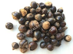 Guarana Seed, Paullinia cupana ~ Schmerbals Herbals