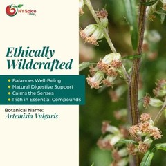 Mugwort Organic Dried Cut & Sifted ~ Artemisia Vulgaris ~ FREE SHIP