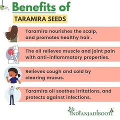 Taramira Seeds Tarameera Seeds Tara Mira Seeds Brassica eruca Arugula Seed-100gm