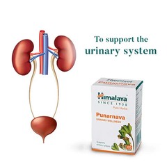 Himalaya Punarnava 60 Tabs Herbal Kidney Wellness Fluid Balance Support 10 Pack