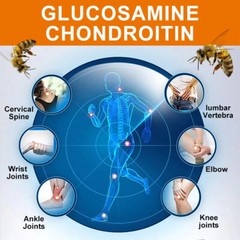 Glucosamine Chondroitin Bee Venom Turmeric & MSM – Bones, Joint Support health