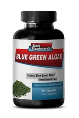 Spirulina Tablets Natural – Organic Blue Green Algae 500mg – Complete Protein 1B