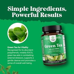 Green Tea Extract Capsules – 500mg Pure Leaf Green Tea 60 Count (Pack of 1)